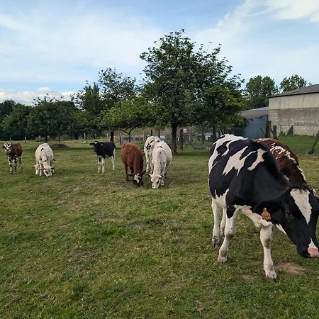 Bed and Breakfast Ferme De La Gortiere