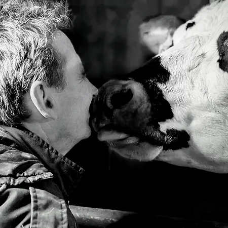 Ferme De La Gortiere 3* Le Teilleul