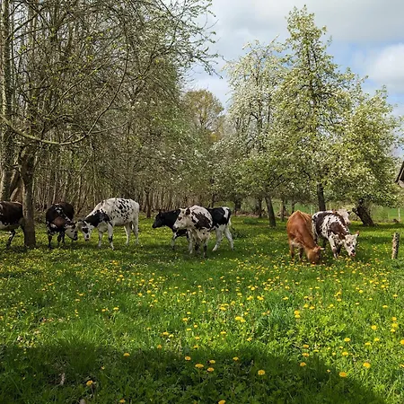 Bed and Breakfast Ferme De La Gortiere