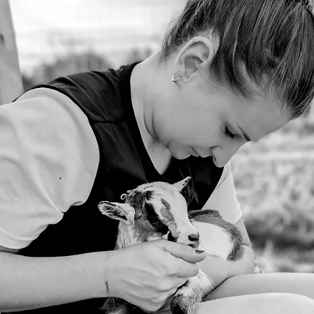 Hébergement de vacances Ferme De La Gortiere Le Teilleul