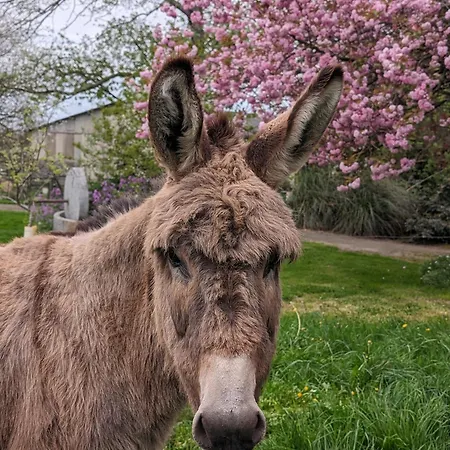 Ferme De La Gortiere *