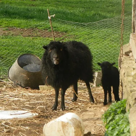 Prázdninový dům Ferme De La Gortiere Le Teilleul