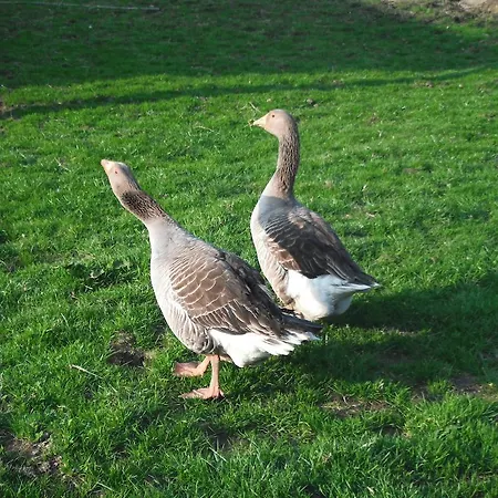 Prázdninový dům Ferme De La Gortiere