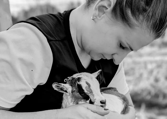 Semesterbostad Ferme De La Gortiere Le Teilleul