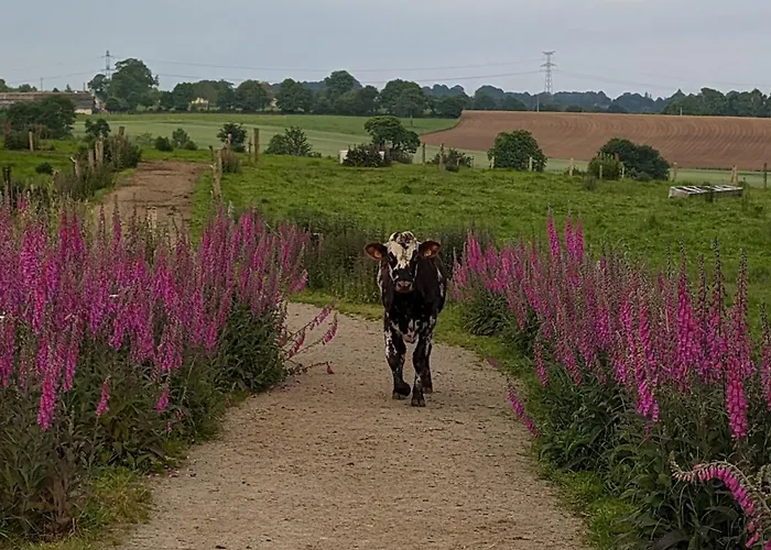 Ferme De La Gortiere