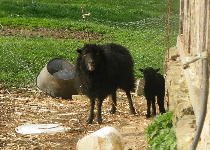 Hébergement de vacances Ferme De La Gortiere Le Teilleul