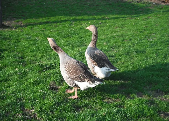 Semesterbostad Ferme De La Gortiere